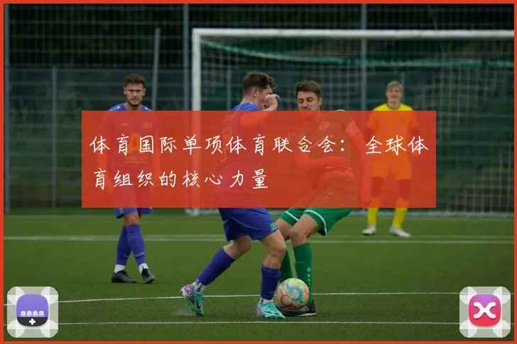 体育国际单项体育联合会：全球体育组织的核心力量