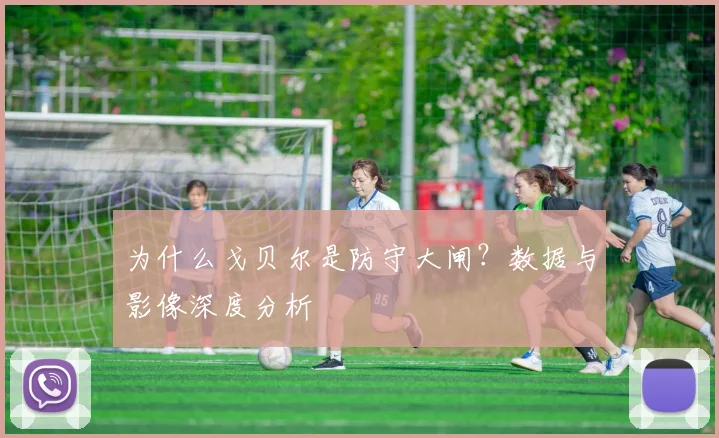 为什么戈贝尔是防守大闸？数据与影像深度分析